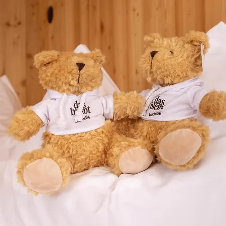 Bleibt Alpine 4* Schladming