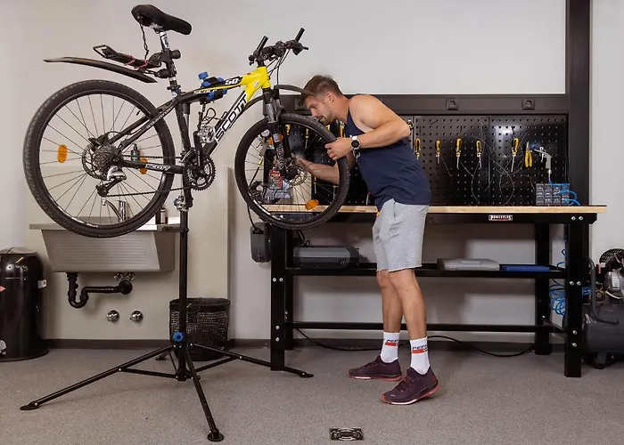 Bleibt Alpine سخلادميخ